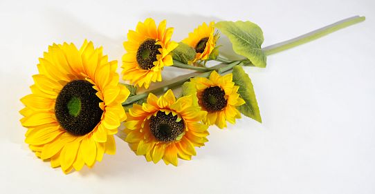 Ветка подсолнуха "Светило" 5 цветков от магазина KALINA являющийся официальным дистрибьютором в России 