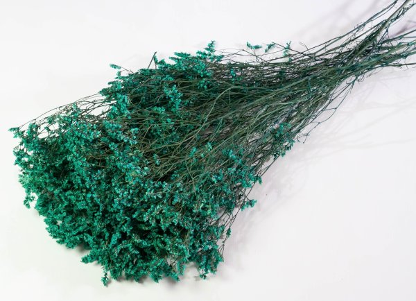 Лимониум стабилизированный 4