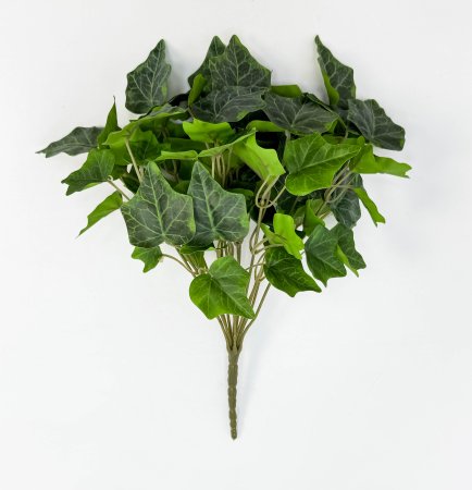 картинка Плющ садовый букет от магазина KALINA