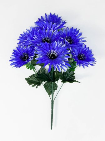 Астра черная тычинка 7 цветков