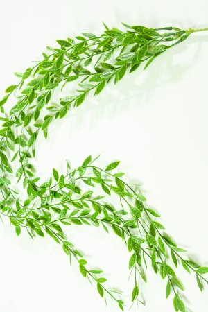 картинка Ампельная зелень Фло от магазина KALINA