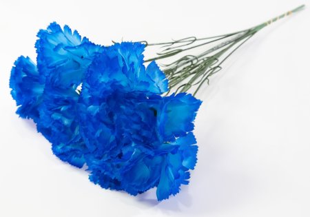 Гвоздика штучка