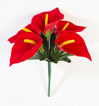 Антуриум садилка 5 цветков от магазина KALINA являющийся официальным дистрибьютором в России 