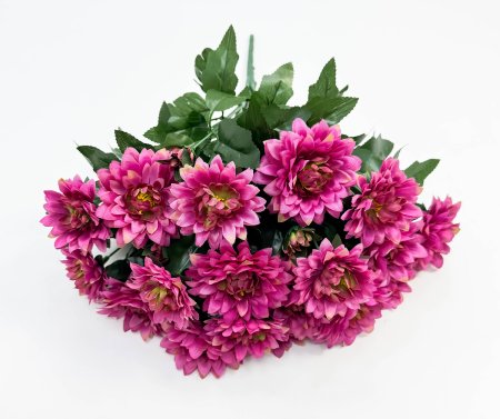 Георгин "Лебёдушка" 18 цветков