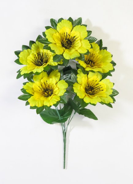 Букет с черной тычинкой "Ночка" 5 цветков