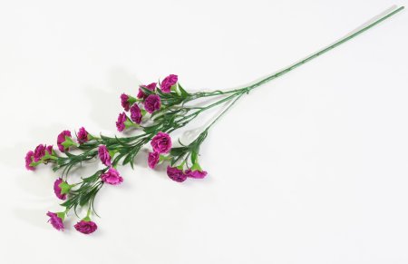 Ветка гвоздики 20 цветков пурпурно-красный