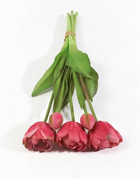 Букет открытых тюльпанов 3+2 красный от магазина KALINA являющийся официальным дистрибьютором в России 