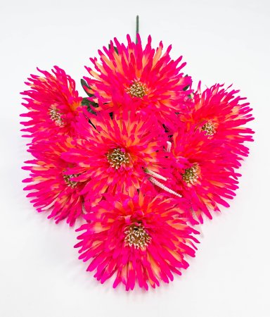 Астра "Дуняша большая" 7 цветков