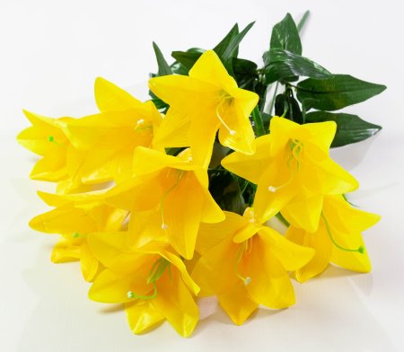 Лилия "Алика" 9 цветков