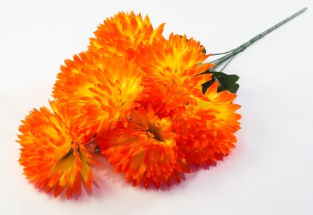 Букет хризантемы "Талисман" 7 цветков