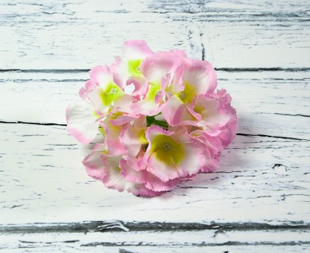 Насадка гортензии