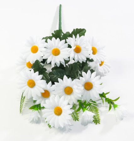 Ромашка "Алтайская" 11 веток