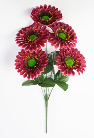 Букет ромашек "Паприка" 5 цветков