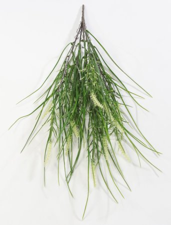 Ветка Тимофеевка