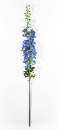 Ветка дельфиниума голубая