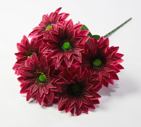 Георгин с зеленой тычинкой 6 цветков