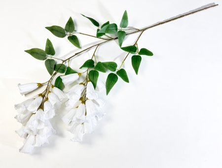 Наперстянка каскадная белая