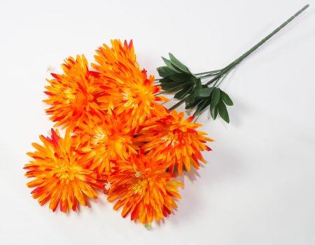 Хризантема "Китти" 7 цветков