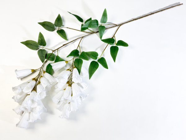 Наперстянка каскадная белая