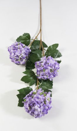 Калина Бульденеж лавандовая