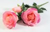 Ветка роз "Фан-фан"
