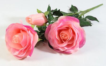 Ветка роз "Фан-фан"