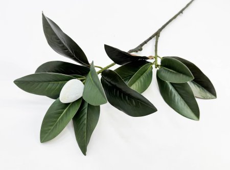 картинка Ветка магнолии с цветовой почкой от магазина KALINA