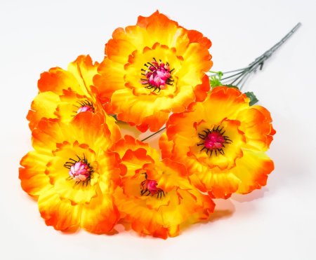 Георгин "Августа" 5 цветков