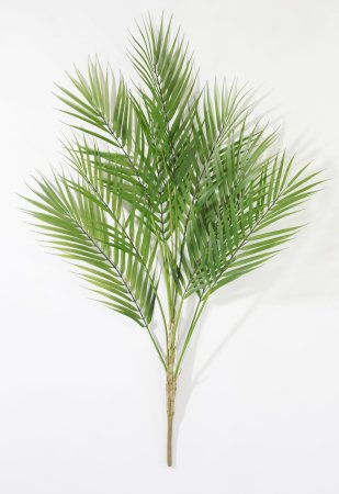 картинка Ветка бамбуковой пальмы 9 листов от магазина KALINA