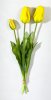 Тюльпан "Пепл Принц" желтый (2+1)