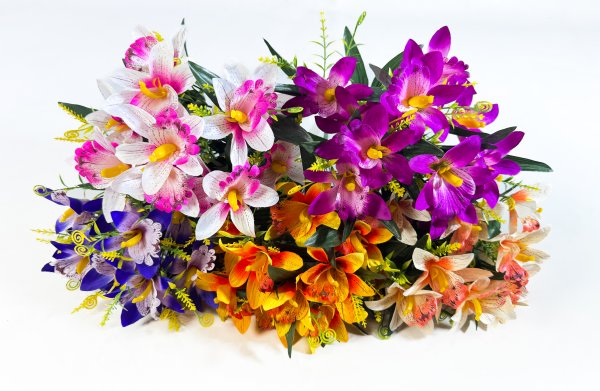 Нарцисс "Белла" 12 цветков