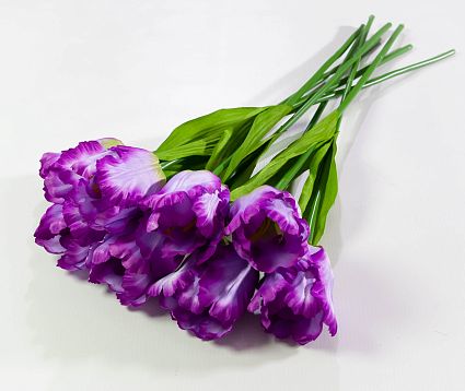 Тюльпан "Волнистый" (20 букетов по 8 штук) от магазина KALINA являющийся официальным дистрибьютором в России 