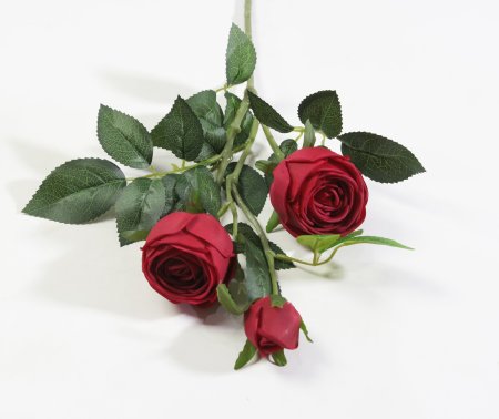 Ветка розы 3 цветка с латексным покрытием красная