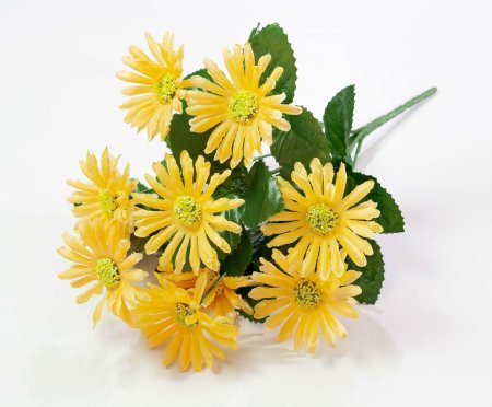 Букет ромашек 10 веток