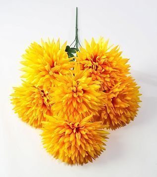 Хризантема "Талисман гигант" 6 цветков от магазина KALINA являющийся официальным дистрибьютором в России 