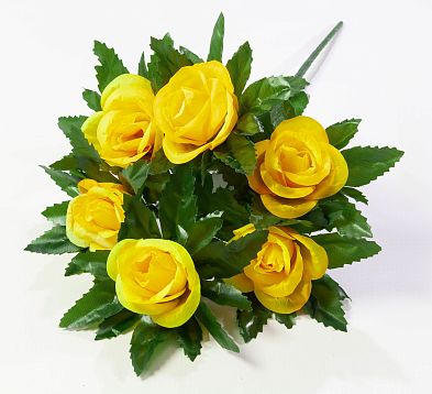 Роза "Капелла" 6 цветков от магазина KALINA являющийся официальным дистрибьютором в России 