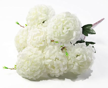 Шафран "Сад ароматов" 7 цветков от магазина KALINA являющийся официальным дистрибьютором в России 