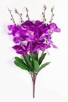 Букет орхидеи 5 веток 20 цветков от магазина KALINA являющийся официальным дистрибьютором в России 