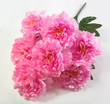 Букет пиона Летний вечер 7 цветков