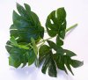 картинка Букет Монстеры 7 веток, 7 листьев от магазина KALINA