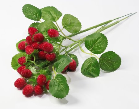 Ветка ежевики 3