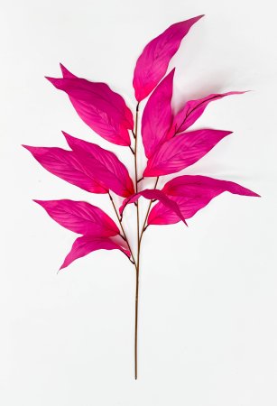 Аглаонема декоративная розовая