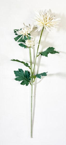 Хризантема "Аннеси"