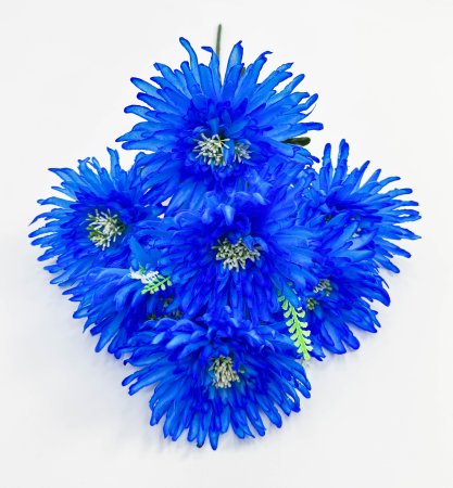 Астра "Дуняша" 7 цветков