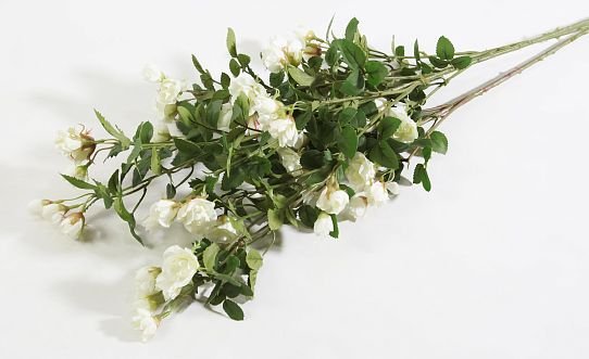 Кустовая роза белая от магазина KALINA являющийся официальным дистрибьютором в России 