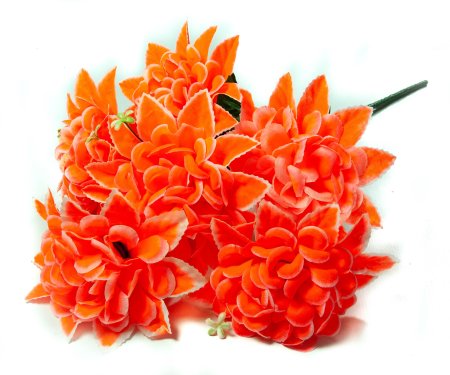 Букет астры "Звезда" 7 веток 7 цветков