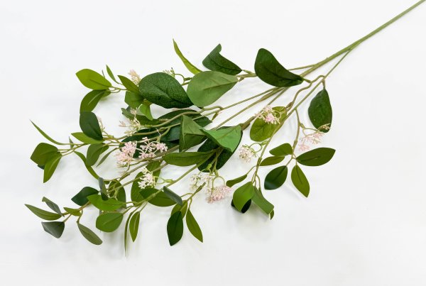 картинка Цеанотус розовый  от магазина KALINA