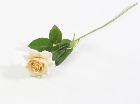 Роза с латексным покрытием открытая золото