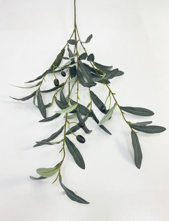 картинка Ветка оливы с ягодкой ботаническая копия от магазина KALINA