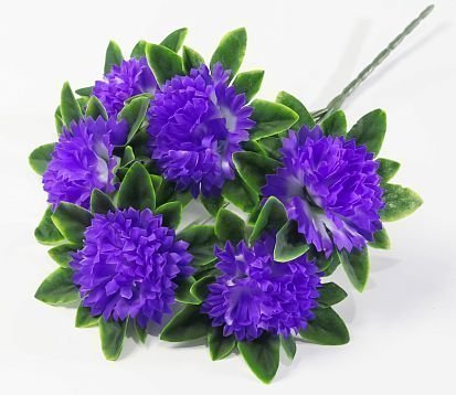 Гвоздика "Водопад цвета" 6 цветков от магазина KALINA являющийся официальным дистрибьютором в России 